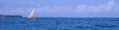 Dhow